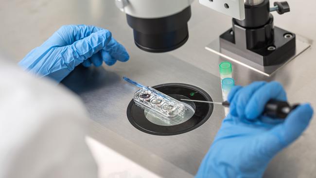 The Herald Sun understands embryos created before the new laws were enacted are still covered by the new reforms. Picture: Istock