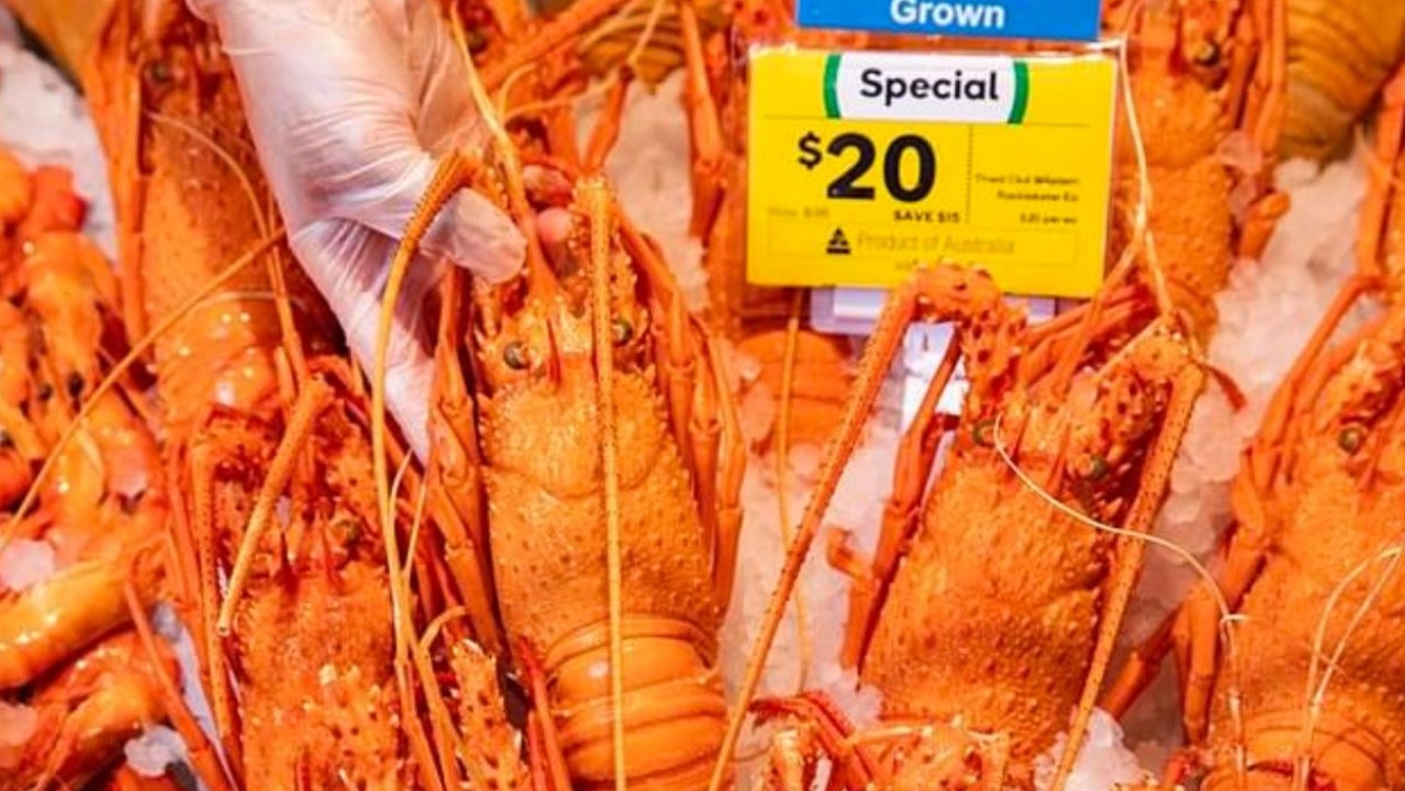 Woolies and Coles customers can get their hands on half priced WA Rock Lobsters – but only four at a time. Picture: Woolworths