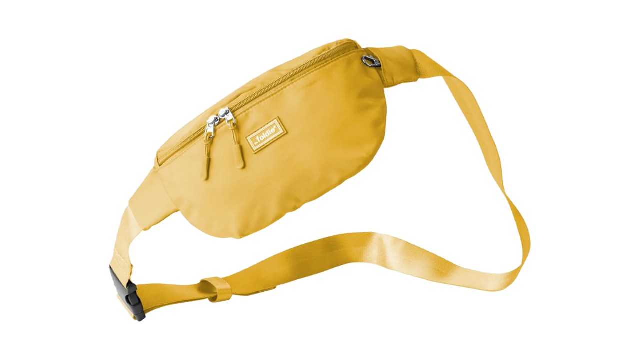 The Foldie bag, $120