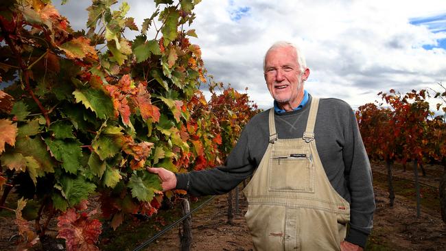 BRIGHTER DAYS: Tobin Wines owner Adrian Tobin said the renovations to the cellar door would help boost tourism.