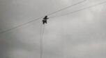 Pakistan cable car rescue: All eight passengers brought to safety