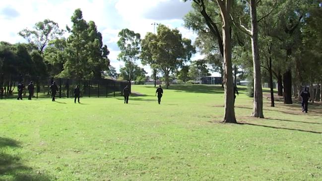 Police carry out line searches in Merrylands. Picture: NSW Police