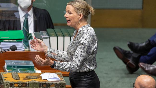 Deputy Liberal leader Sussan Ley said she was confident her party could attract more women. Picture: NCA NewsWire / Gary Ramage