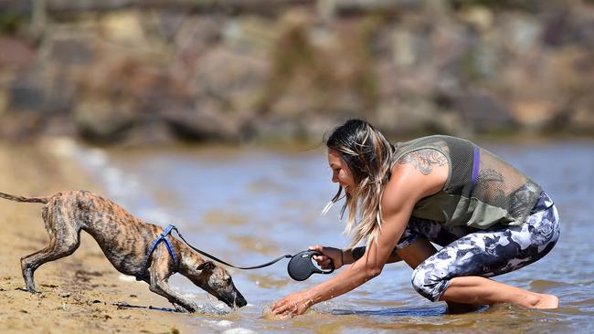 Jasmine Zapka of Kilsyth with six month old whippet Paco enjoying a play on lead at Lillydale Lake. Picture: Steve Tanner