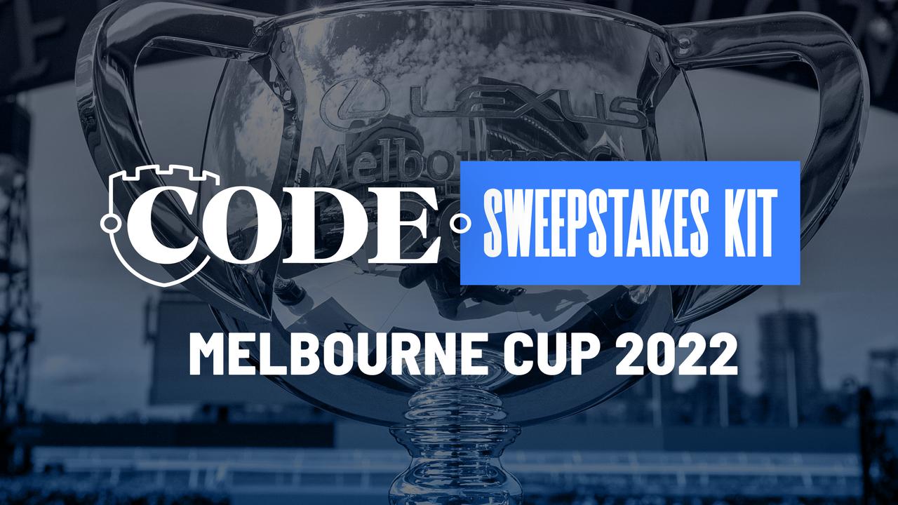 Melbourne Cup sweep 2022 Printable PDF download, instructions, every