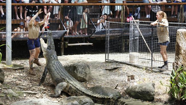 Tourism numbers are increasing again across Cairns and Far North Queensland after a strong summer school holiday season. Wildlife handlers Rachel Gehan feeds Dougie the 4 metre saltwater crocodile, watched by hundreds of holiday makers and supervised by Cass Crosby at Hartley's Crocodile Adventures tourist park, Wangetti. Picture: Brendan Radke