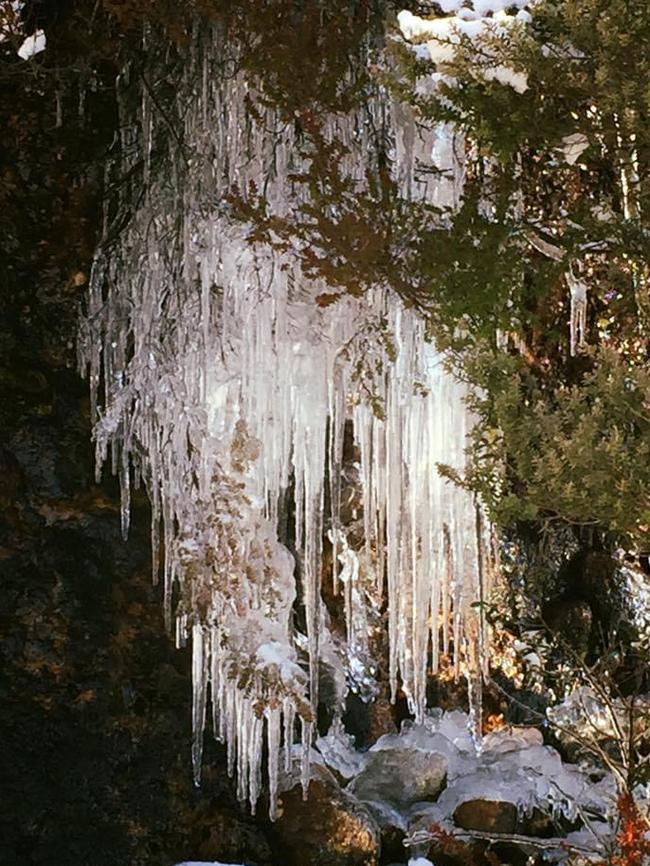 Icicles beside the road up to kunanyi/Mt Wellington. Picture: Jan Blyton