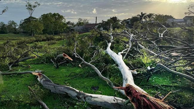 Council workers are still cleaning up debris from the Christmas night storm Picture: NCA NewsWire / Scott Powick