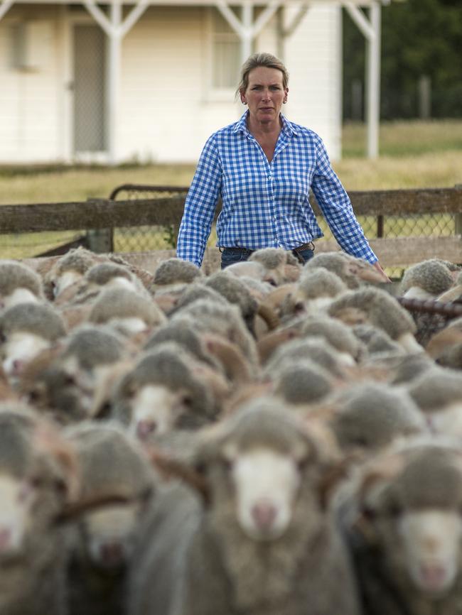 On the move: Georgina Wallace’s determination to bring genetic gains to the Trefusis Merino flock is paying off. Picture: Phillip Biggs