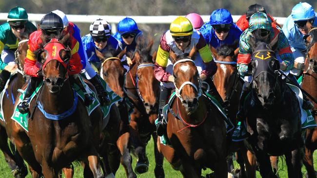 Racing in New South Wales on Tuesday is at Forbes.