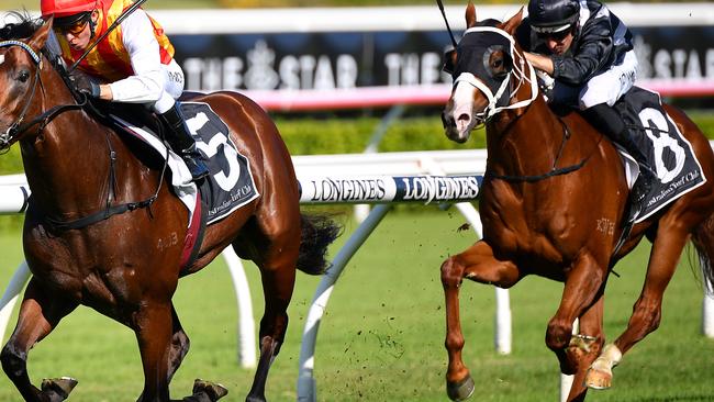 Overlord runs in the Group 1 JJ Atkins Stakes (1400m) at Eagle Farm on Saturday.