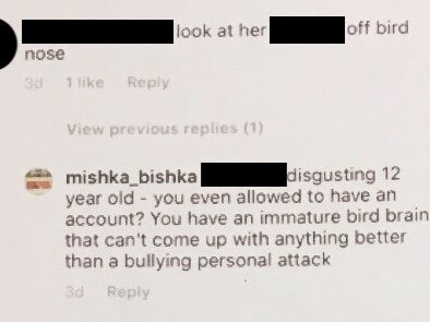 Instagram exchange between online trolls and Premier Gladys Berejiklian’s sister Mary aka mishka_bishka.