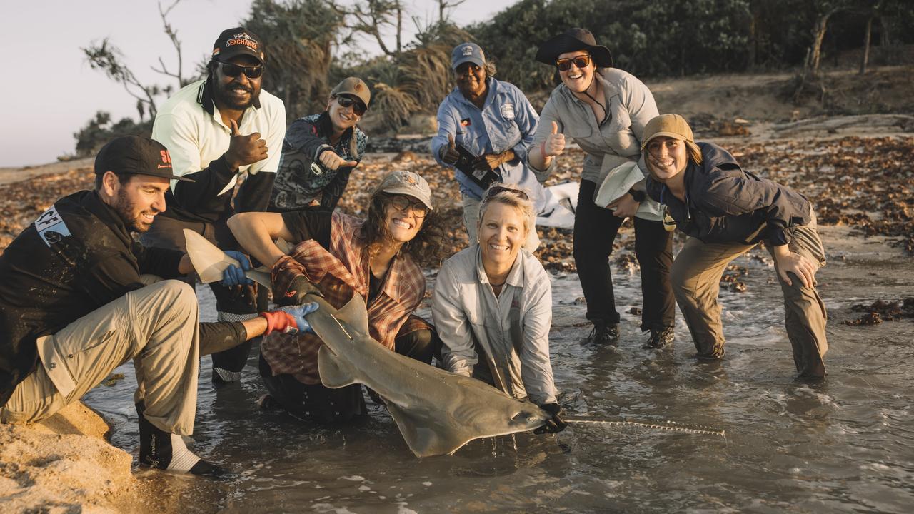 The SARA team with Lama Lama Land and Sea Rangers and SCF Australia catch, tag and release a green sawfish at Princess Charlotte Bay in Far North Queensland. Picture: Kieran Tunbridge