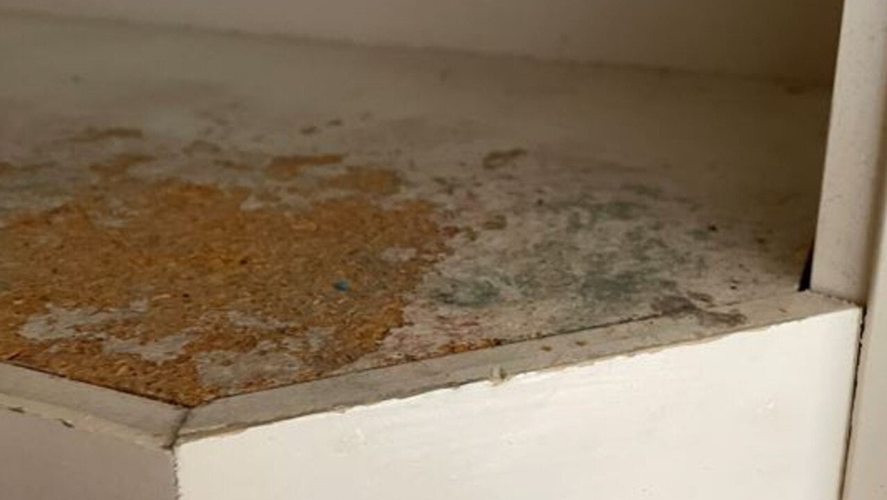 Mould can occur inside and outside. Picture: Letea Cavander