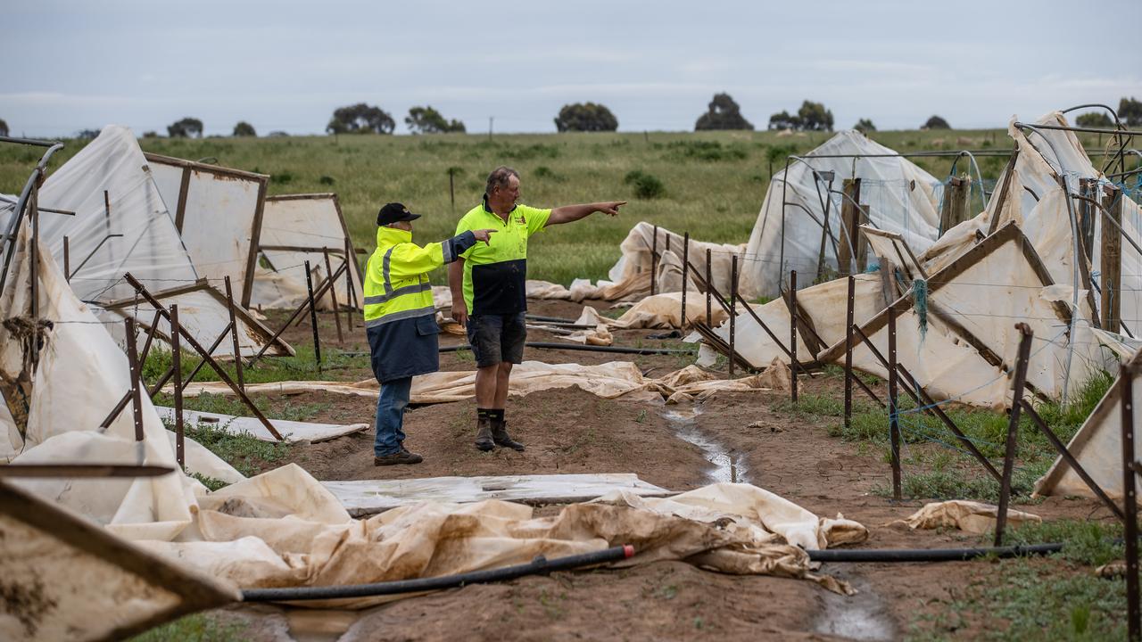 Tomato farmer Jeff Martin, pictured right, lost his entire crop in the floods. Mr Martin maintains the farm alone and has registered for some volunteer help, which will be overseen by BlazeAid Bridgewater camp co-ordinator Graeme Allen, pictured left. Picture: Jason Edwards