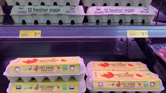 There are fears egg prices could go up to $15 per dozen. Picture: NCA NewsWire/Tertius Pickard