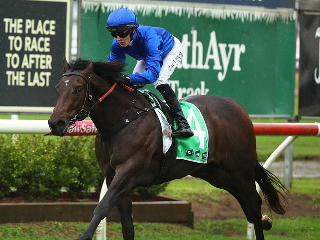 NEWCASTLE, AUSTRALIA - MAY 11: Zac Lloyd riding Pisces wins Race 1 Gosford IT Handicap during "The Coast Raceday" - Sydney Racing at Newcastle Racecourse on May 11, 2024 in Newcastle, Australia. (Photo by Jeremy Ng/Getty Images)