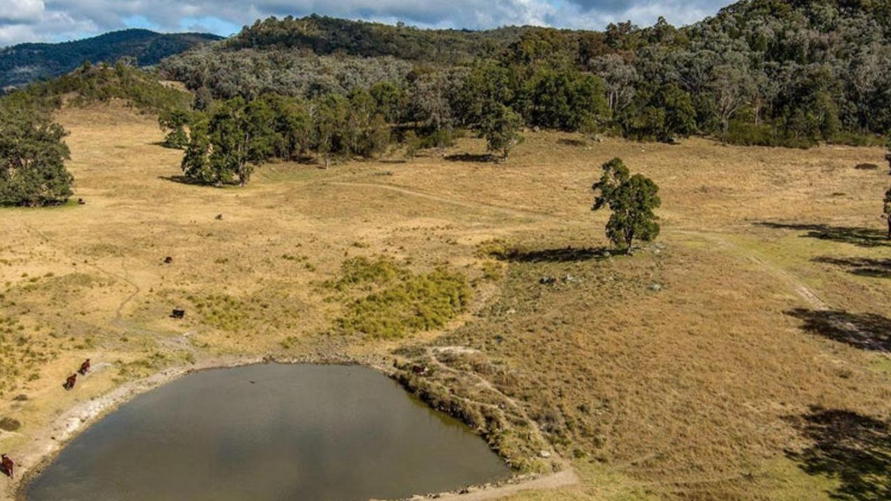 Alluvial soils and plenty of water at Scott Cam’s just sold cattle farm.