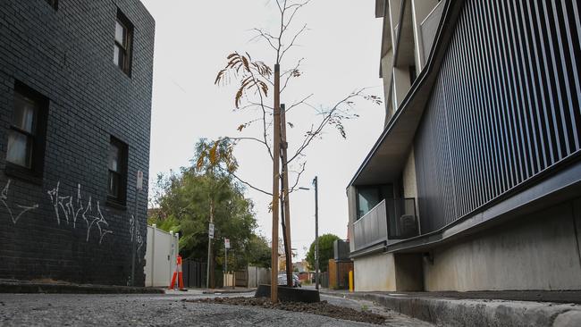 The council said a confused worker may have mistook the pothole for a space to plant a tree. Picture: George Salpigtidis