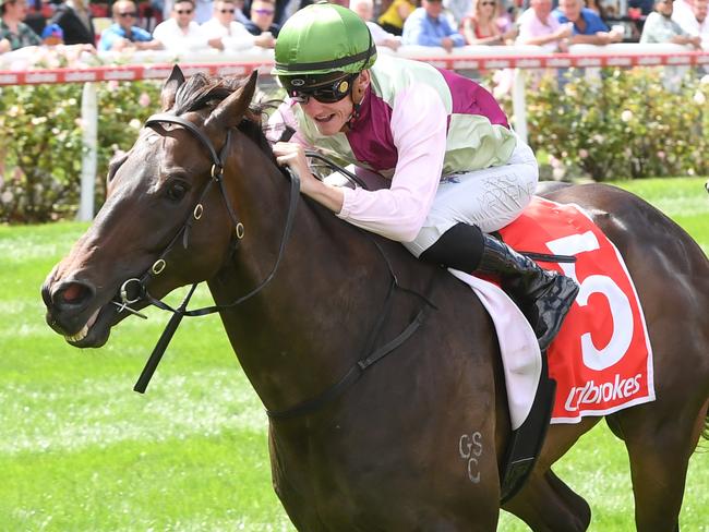 Mornington Glory wins the Lawn Rules Handicap at Moonee Valley. Picture: Brett Holburt-Racing Photos