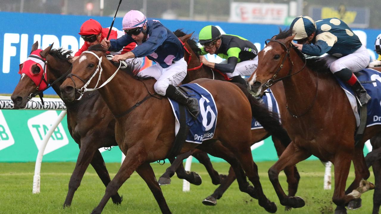 No Compromise is on the quick back-up from his fifth at Randwick last weekend. Picture: Grant Guy