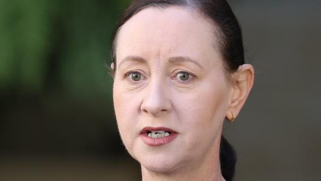 Health Minister Yvette D'Ath says the system is in need of reform. Picture: Annette Dew