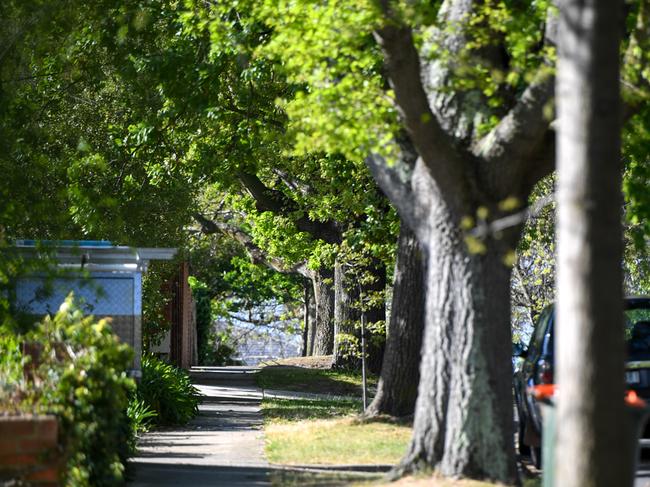 Booroondara Council is cracking down on tree vandals.