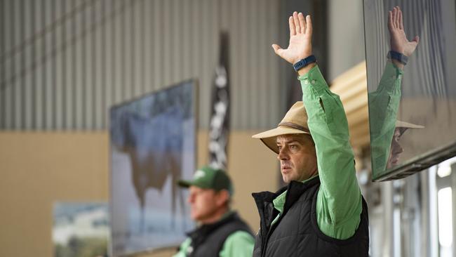 Livestock agents take the bids at Kelly Angus on-property sale. Picture: Zoe Phillips