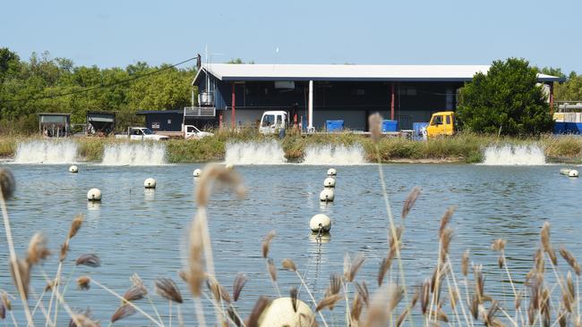 One of the ponds at the Humpty Doo Barramundi farm over looking the factory.