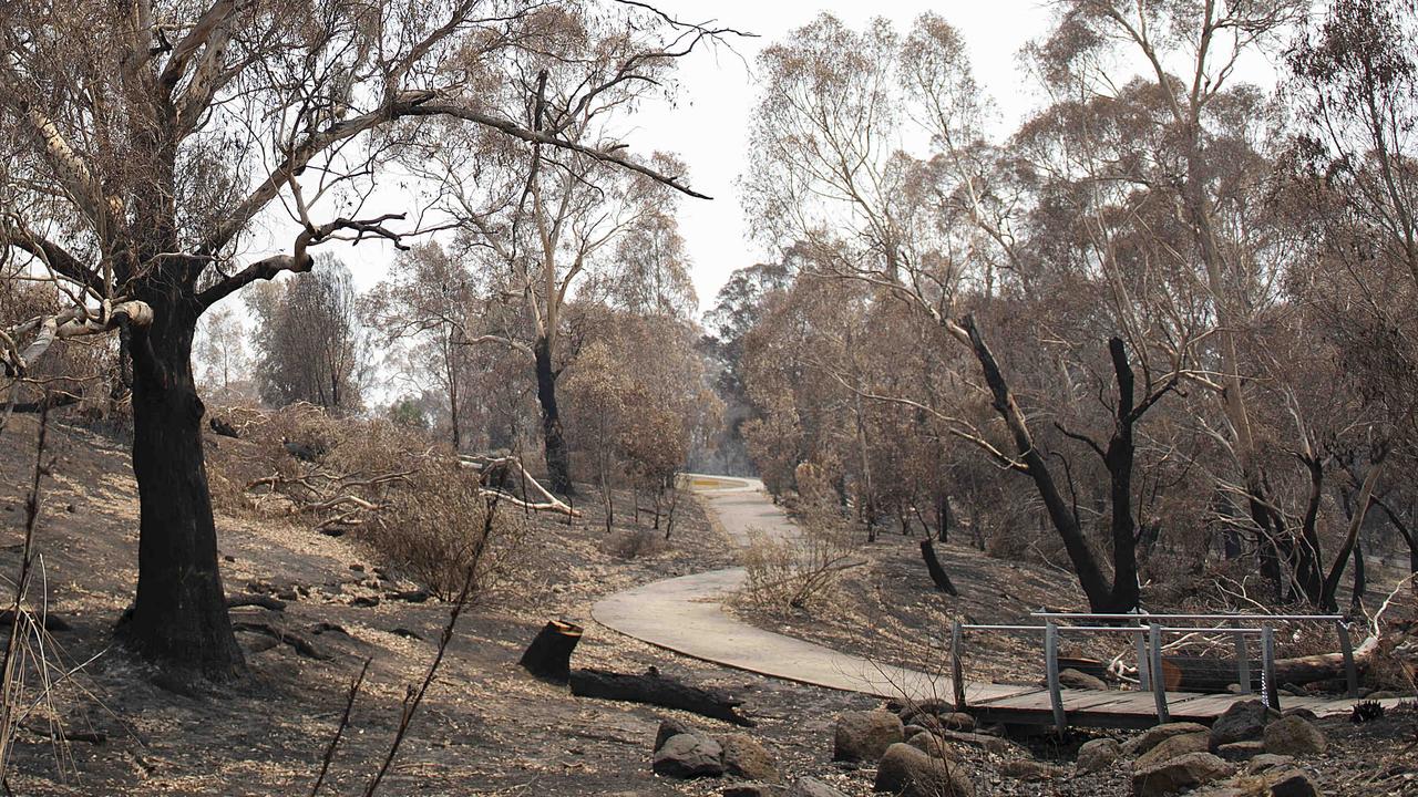 Aftermath of the recent fire in the Plenty Gorge parklands around Clovemont Way in Bundoora. January 13th 2020. Picture: Ellen Smith