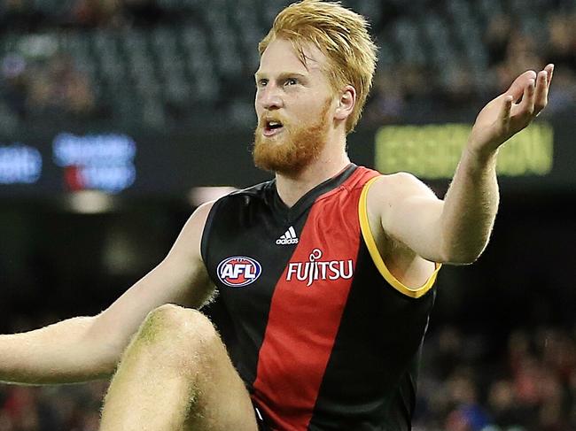 AFL Round 18 : Essendon v Brisbane Lions  Aaron Francis     Picture:Wayne Ludbey