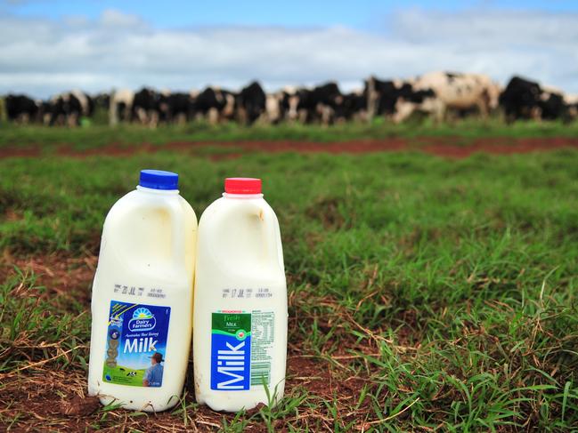 Dairy Farmers milk and Woolworths Private Label milk.