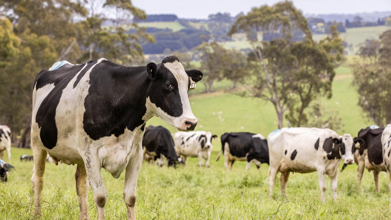 Strathmerton axing ‘nothing to do with dairy industry’