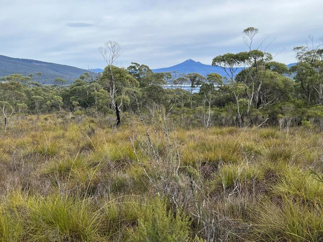 Eight kilometres of walking trails surround at the Cape House offer views of Adamsons Peak. Travel. Picture: Philip Young