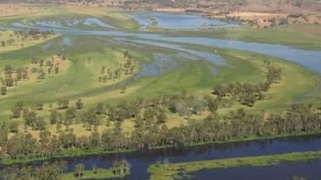 A new $25m bridge on the Fitzroy River will provide more immunity from floods to support industry emerging from the Rookwood Weir project.