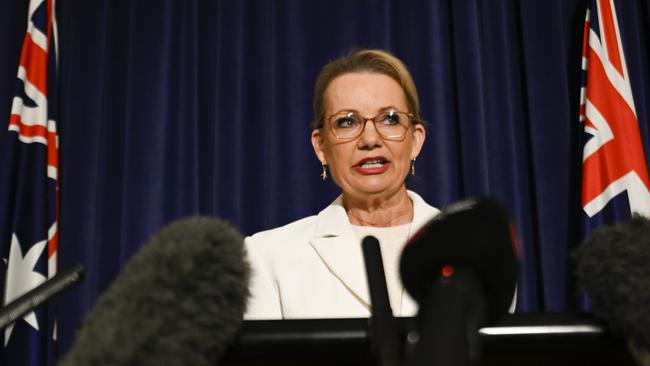 CANBERRA, AUSTRALIA - NewsWire Photos - May 20, 2025: Leader of the Opposition Sussan Ley holds a press conference at Parliament House in Canberra. Picture: NewsWire / Martin Ollman