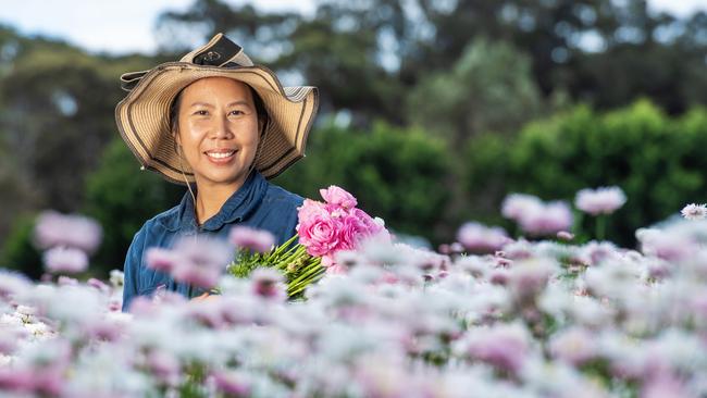 June Weir on her flower farm in Maiden Gully. Picture: Zoe Phillips