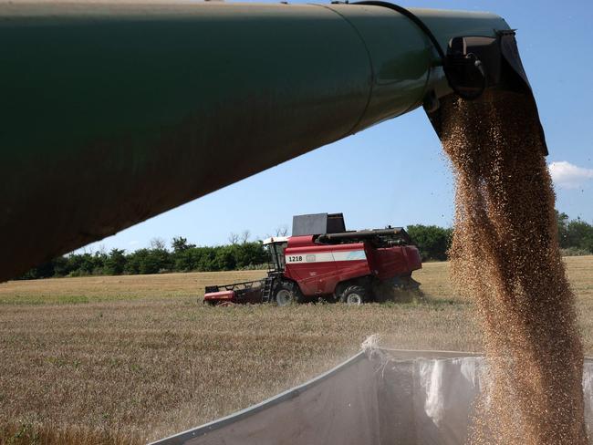 Combines harvest wheat at a farm near Kramatorsk, in Donetsk region on August 4, 2023, amid the Russian invasion of Ukraine. Known as the world's "bread basket", Ukraine grows far more wheat than it consumes and it's exports contribute to global food security, especially in African countries, which now fear food shortages. Russia announced on July 17, 2023 it's withdrawal from the so-called Black Sea grain agreement allowing safe passage for grain cargo ships from Ukrainian Black Sea ports, leading to a spike in grain prices that has hit poorer countries hard. (Photo by Anatolii Stepanov / AFP)