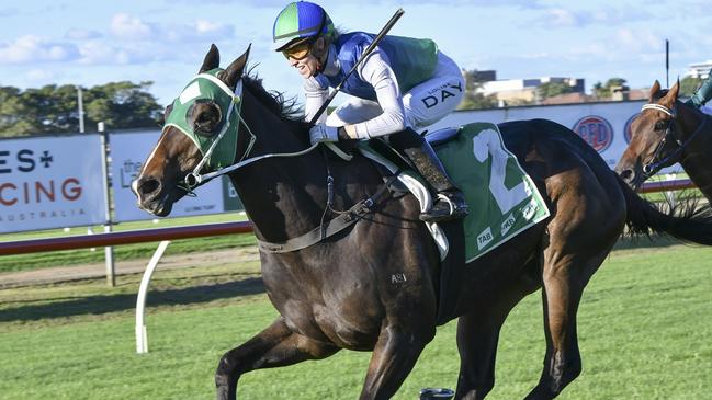 Poseidon Ruler winning at Newcastle on April 8, 2023. Picture: Bradley Photos
