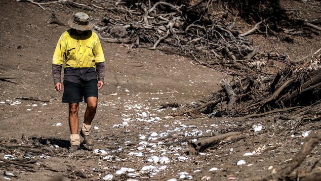 Farmer Johnnie McKeown in the dried-up bed of the Namoi River at Walgett. Picture: Getty Images