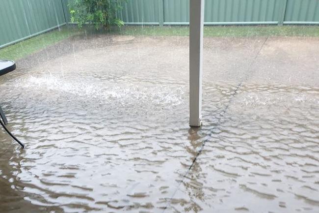 A flooded Labrador backyard. Picture: Tracey Beer