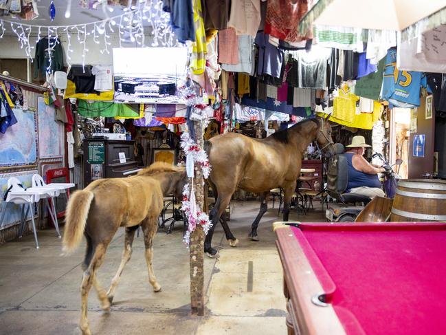 Daly Waters Historic Pub owner Tim Carter and his entourage of animals exit the pub. Picture: Floss Adams.