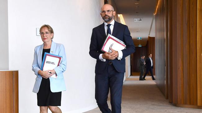 Treasurer David Janetzki and Finance Minister Ros Bates. Picture: John Gass