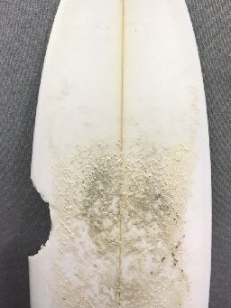 The bite marks on the back of the surfboard.