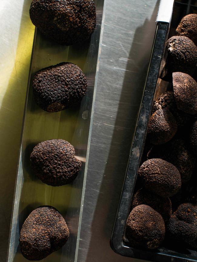 Truffles ready for export. Picture: Christopher Crerar