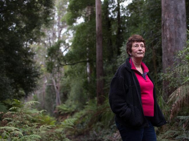 <s1 id="U702356086542aiE" style="font-size:9;font-stretch:9;">SUCCESS: Falling emissions shows ending logging works for the climate. Pictured, Peg Putt. Picture: PETER MATHEW</s1>