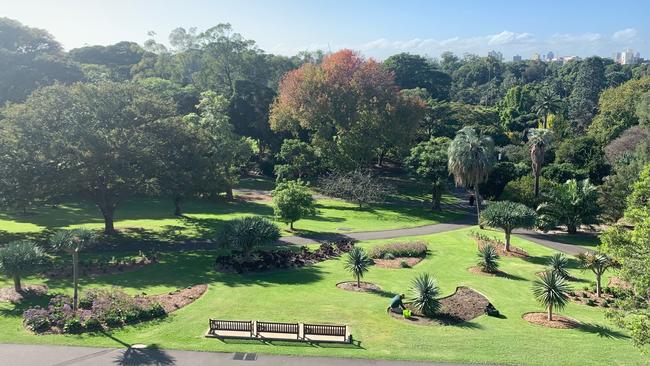 Royal Botanic Gardens. Picture: Scott Jones/Royal Botanic Garden Sydney