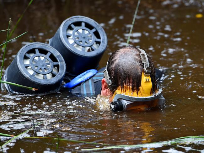 NSW Police divers search a dam near Bonny Hills for evidence of missing boy William Tyrrell. Picture: Dan Himbrechts