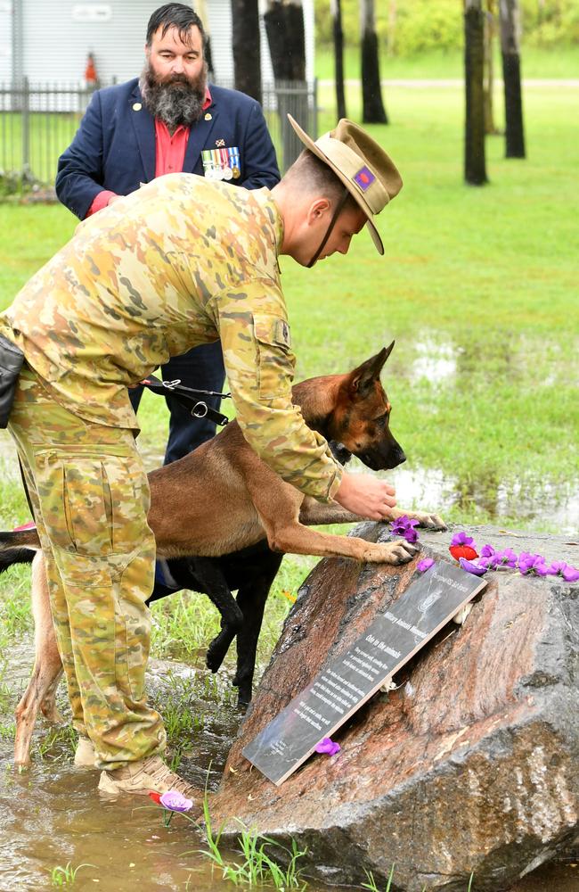 Lance Corporal Tom Page with EDD Ardy lays a purple poppy at the War Animal Day service at the Thuringowa RSL last year. Picture: Evan Morgan