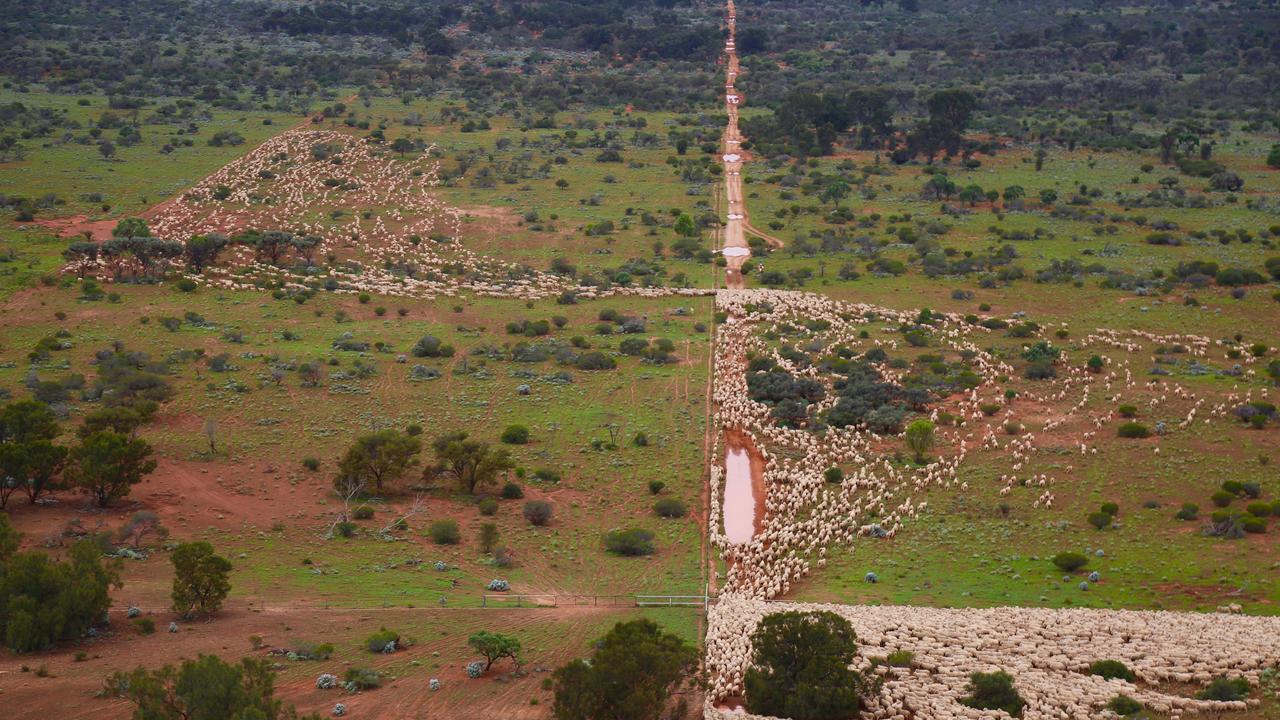 Australia’s largest sheep station sells to offshore-backed CPC